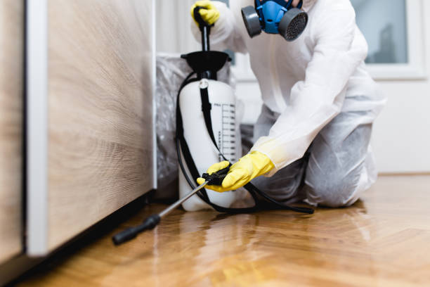Best Best Pest Control Companies  in Nashotah, WI