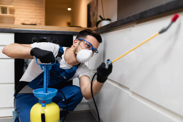 Best Pest Inspection Near Me  in Nashotah, WI