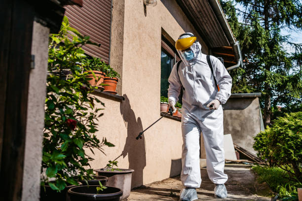 Best Wasp Removal Services  in Nashotah, WI
