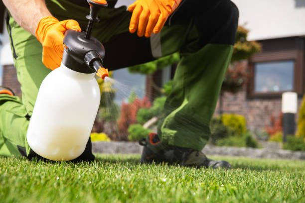 Best Insect Control  in Nashotah, WI