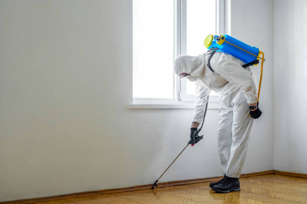 Best Best Pest Control Companies  in Nashotah, WI