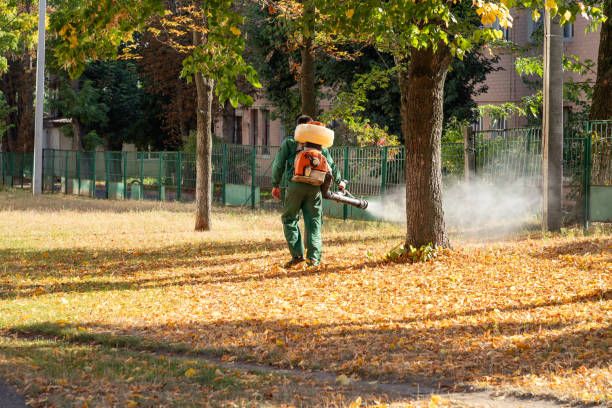 Best Emergency Pest Control  in Nashotah, WI