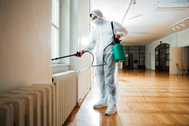 Best Local Pest Control Services  in Nashotah, WI