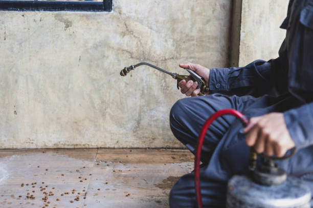 Best Pest Inspection Near Me  in Nashotah, WI